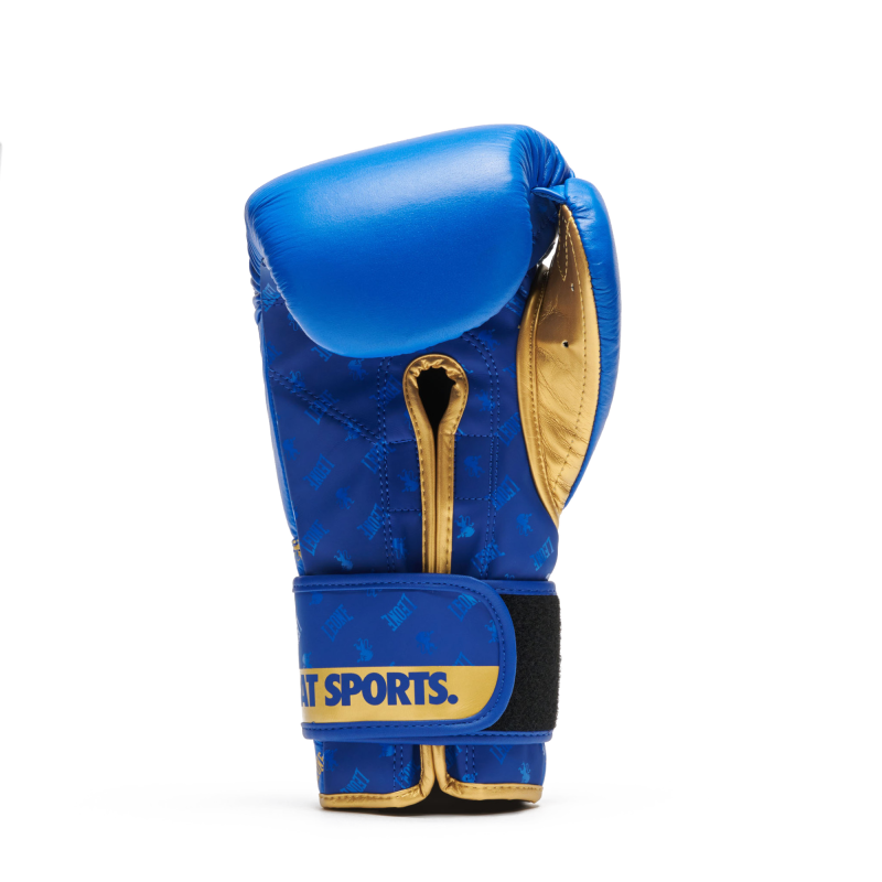 Guanti Boxe DNA Blu