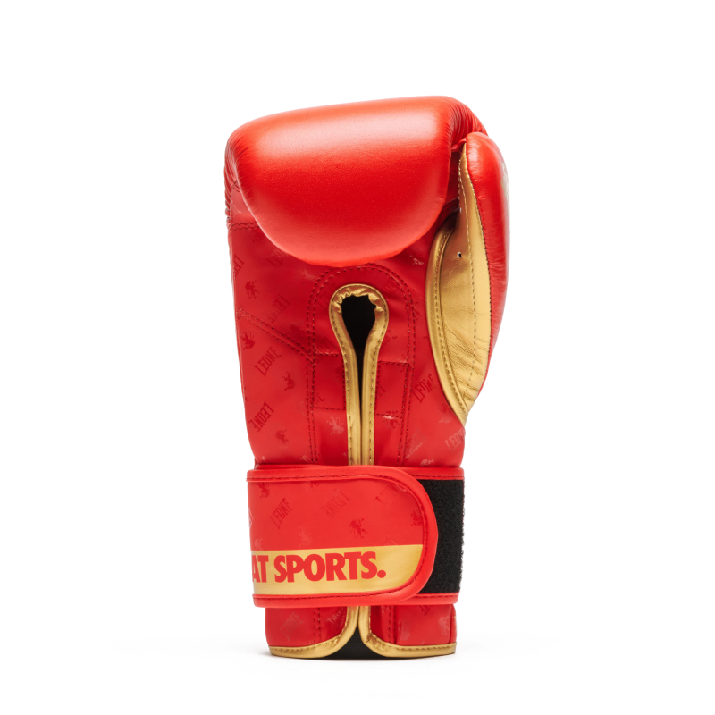 Guanti Boxe DNA Rosso