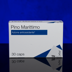 Pino Marittimo 30 caps