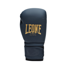 Guanti Boxe Blue Edition