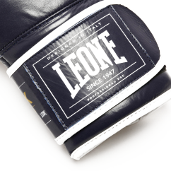 Guanti Boxe Shock X Blu
