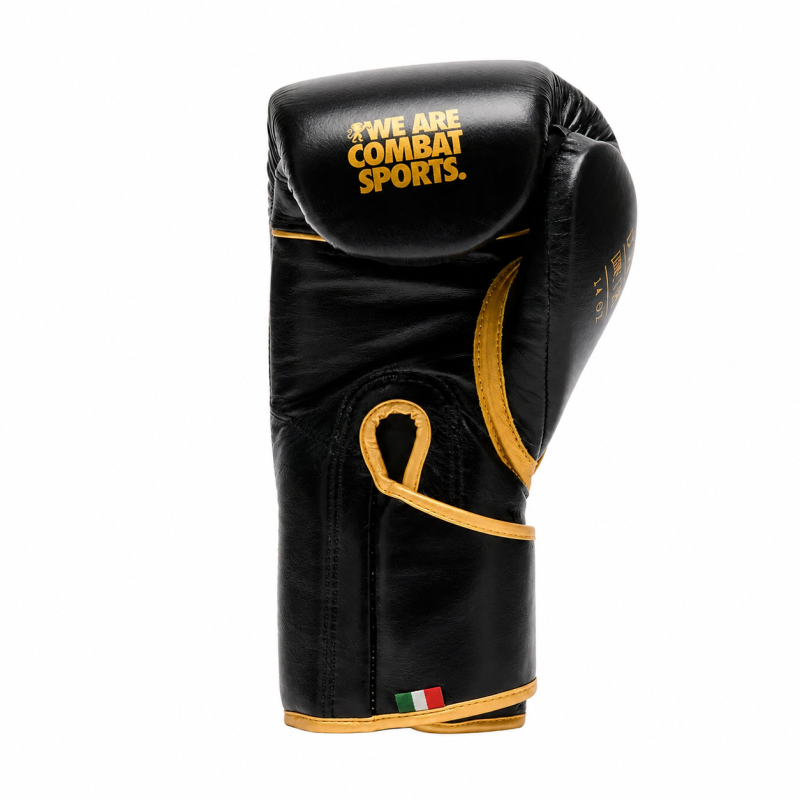 Guanti Boxe DNA Premium nero