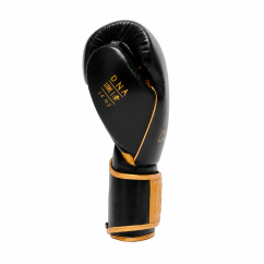 Guanti Boxe DNA Premium nero