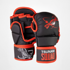 Guanti da Sparring MMA...
