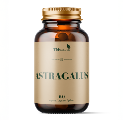 Astragalus 60 caps