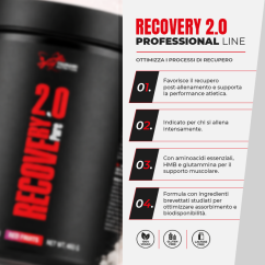 Recovery Pure Professional 2.0 460 g