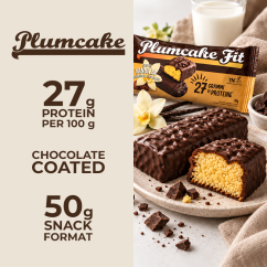 Plumcake Fit Ricoperto al Cioccolato 50 g