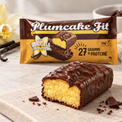 Plumcake Fit Ricoperto al Cioccolato 50 g