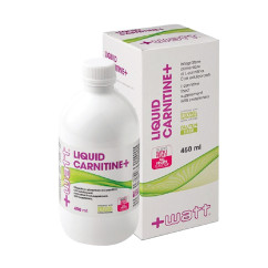 +WATT Liquid Carnitine+ 450ML