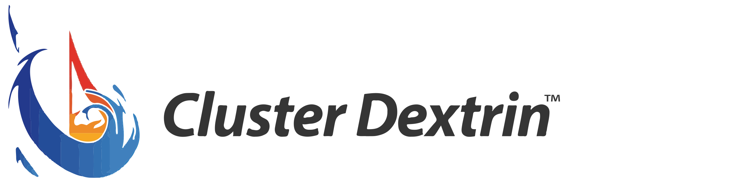 CLUSTER DEXTRIN