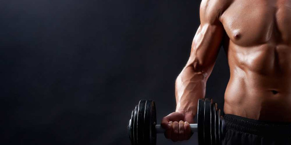 Proteina mTor: cos'è, a cosa serve, dove si trova