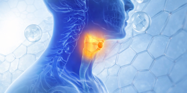 Il collagene fa male alla tiroide? Legami e controindicazioni