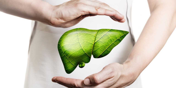 Depurare fegato e reni naturalmente: rimedi, dieta e tisane