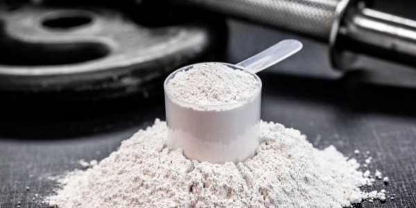 Proteine, aminoacidi e creatina: guida all'uso combinato
