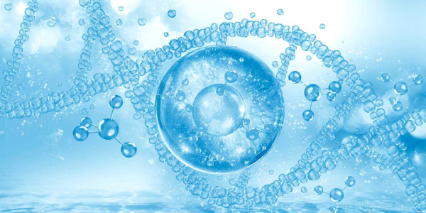 Glutatione: cos'è, a cosa serve, benefici e integratori