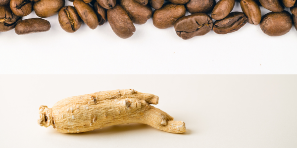 Caffeina e ginseng: differenze, proprietà e utilizzo negli integratori
