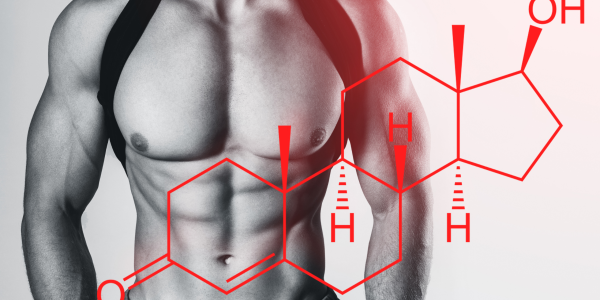 Testosterone: benessere maschile e integratori di supporto