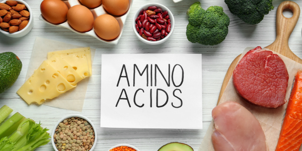 Aminoacidi essenziali: funzioni, alimentazione e supporto all’attività sportiva