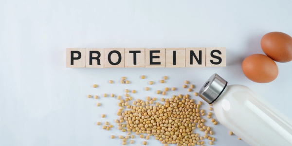 Proteine vegetali: quali sono, le fonti e i valori nutrizionali