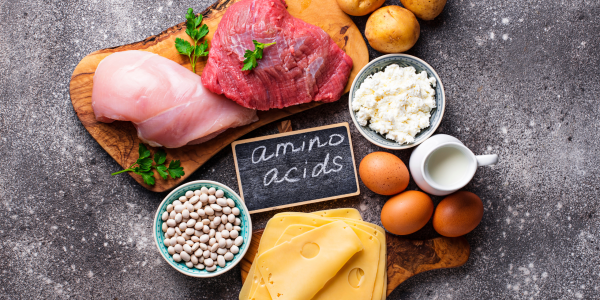 I 10 migliori aminoacidi essenziali