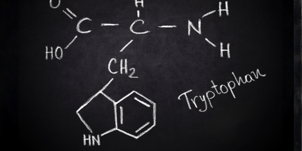 Triptofano e L-triptofano: effetti collaterali, controindicazioni e dopo quanto fa effetto