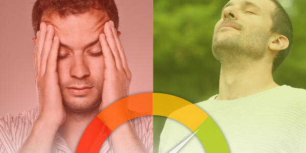 I 5 migliori integratori contro lo stress