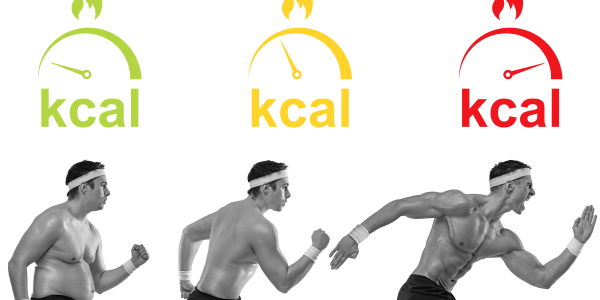 Come bruciare i grassi: alimenti, esercizi e consigli efficaci