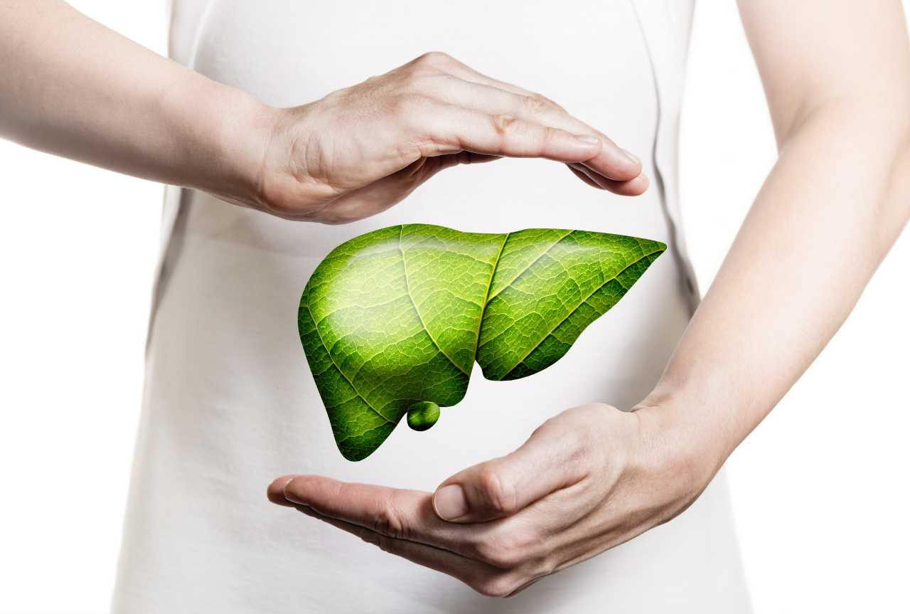 Depurare fegato e reni naturalmente: rimedi, dieta e tisane