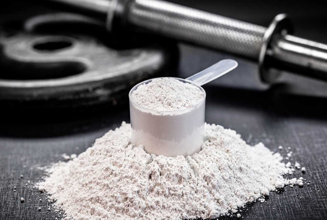 Proteine, aminoacidi e creatina: guida all'uso combinato