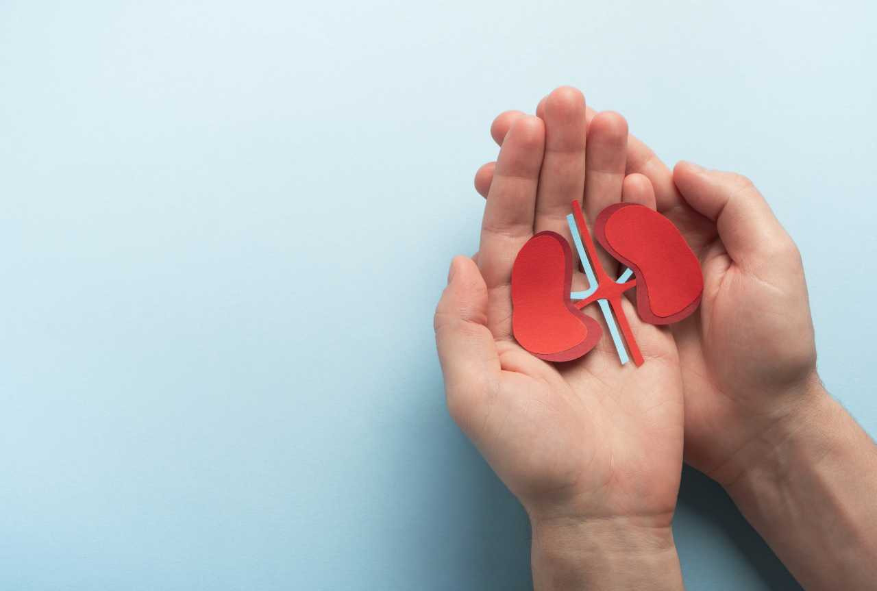 N-Acetilcisteina e reni: fa male o protegge la funzione renale?