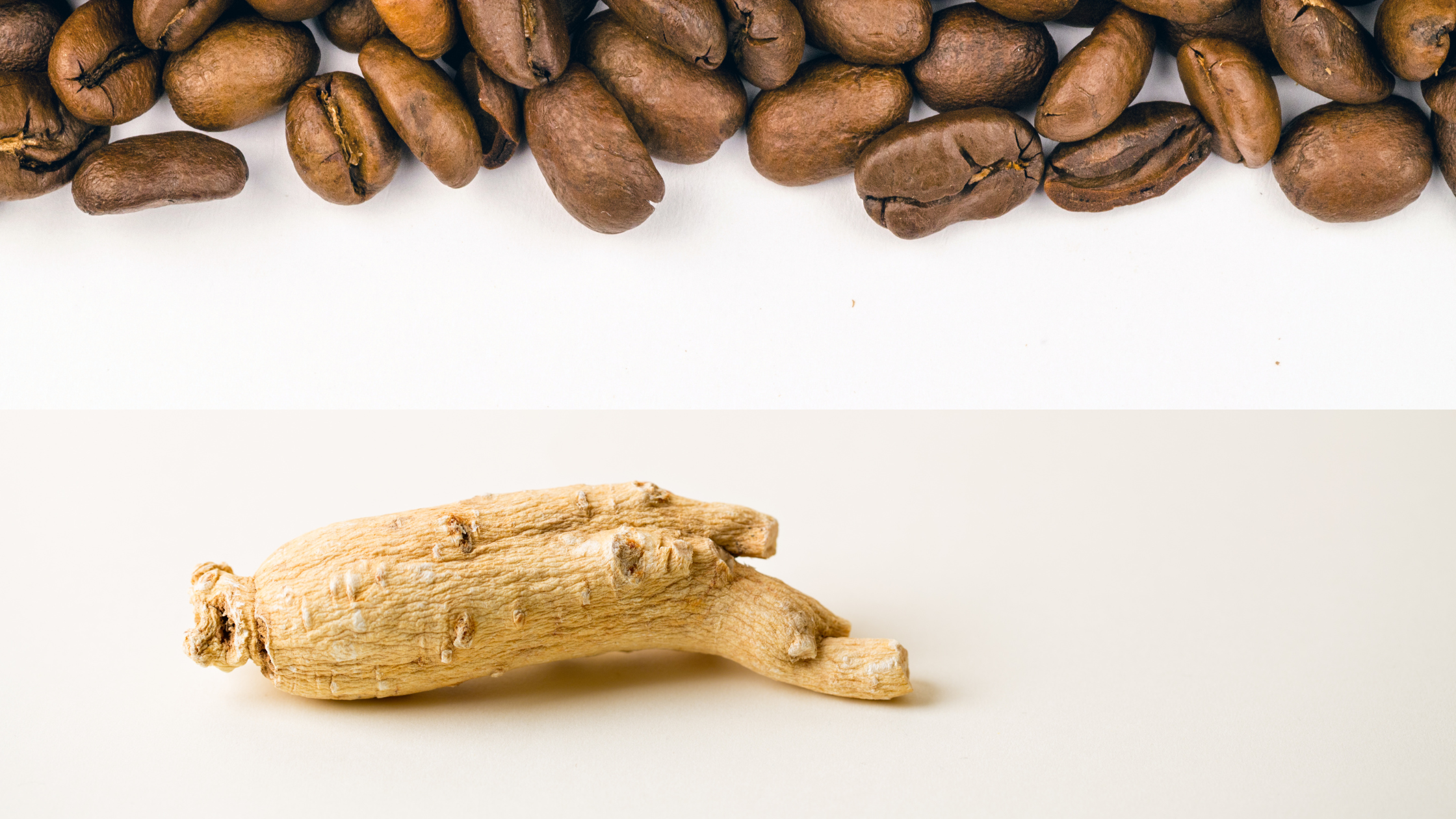 Caffeina e ginseng: differenze, proprietà e utilizzo negli integratori