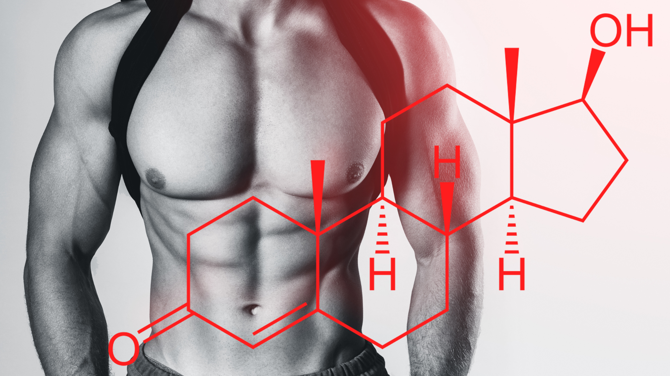 Testosterone: benessere maschile e integratori di supporto