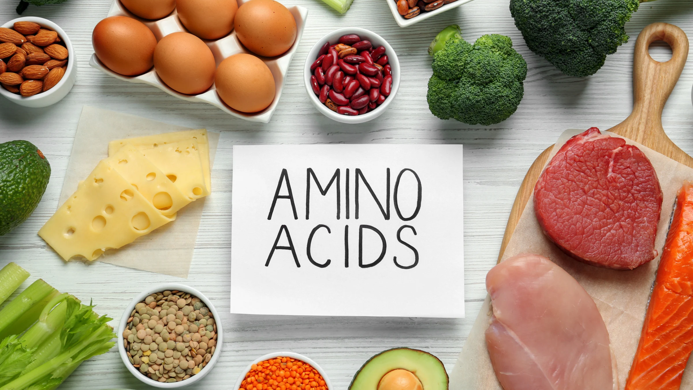 Aminoacidi essenziali: funzioni, alimentazione e supporto all’attività sportiva