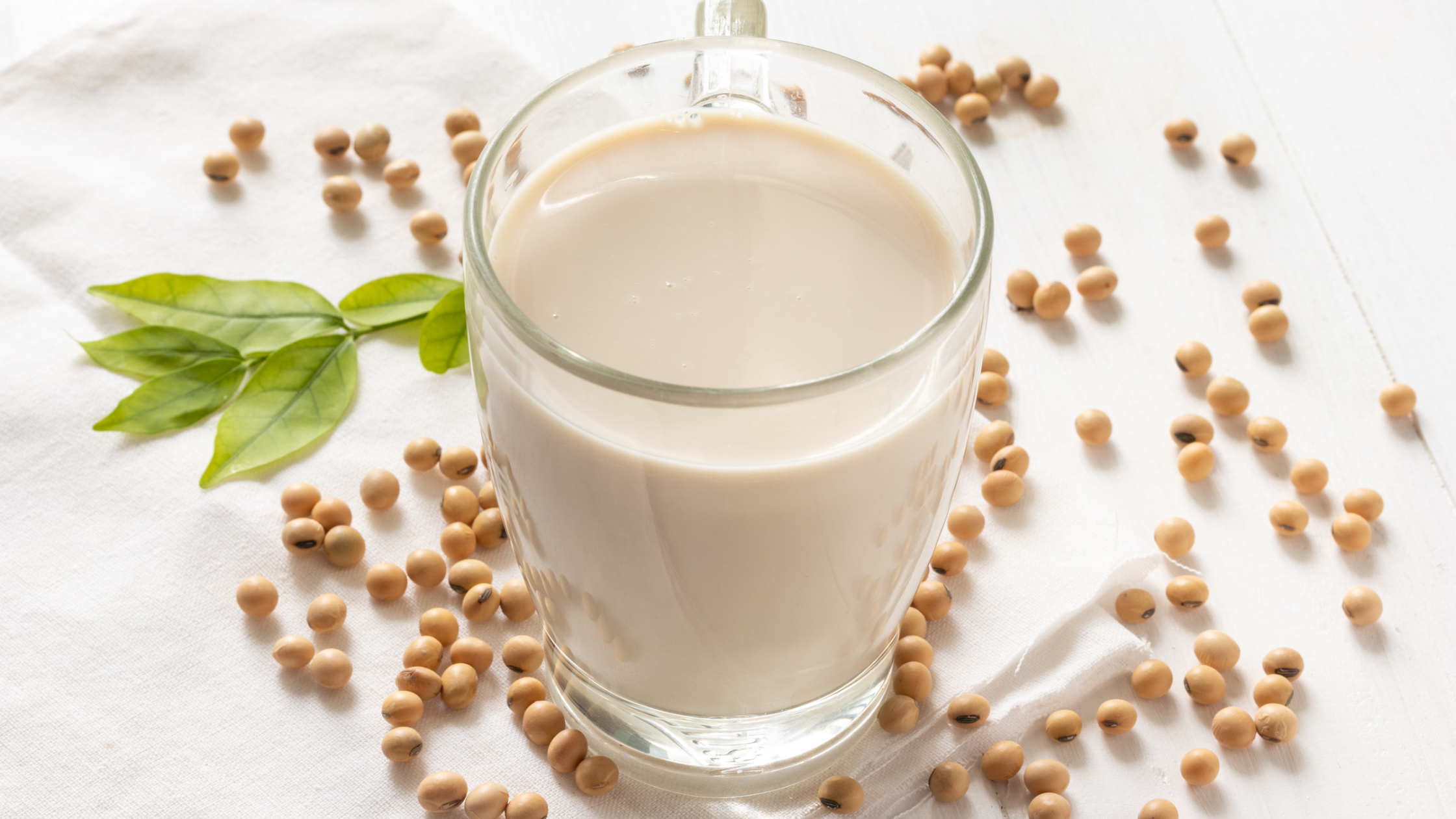 Soia e proteine: proprietà nutrizionali, massa muscolare e controindicazioni