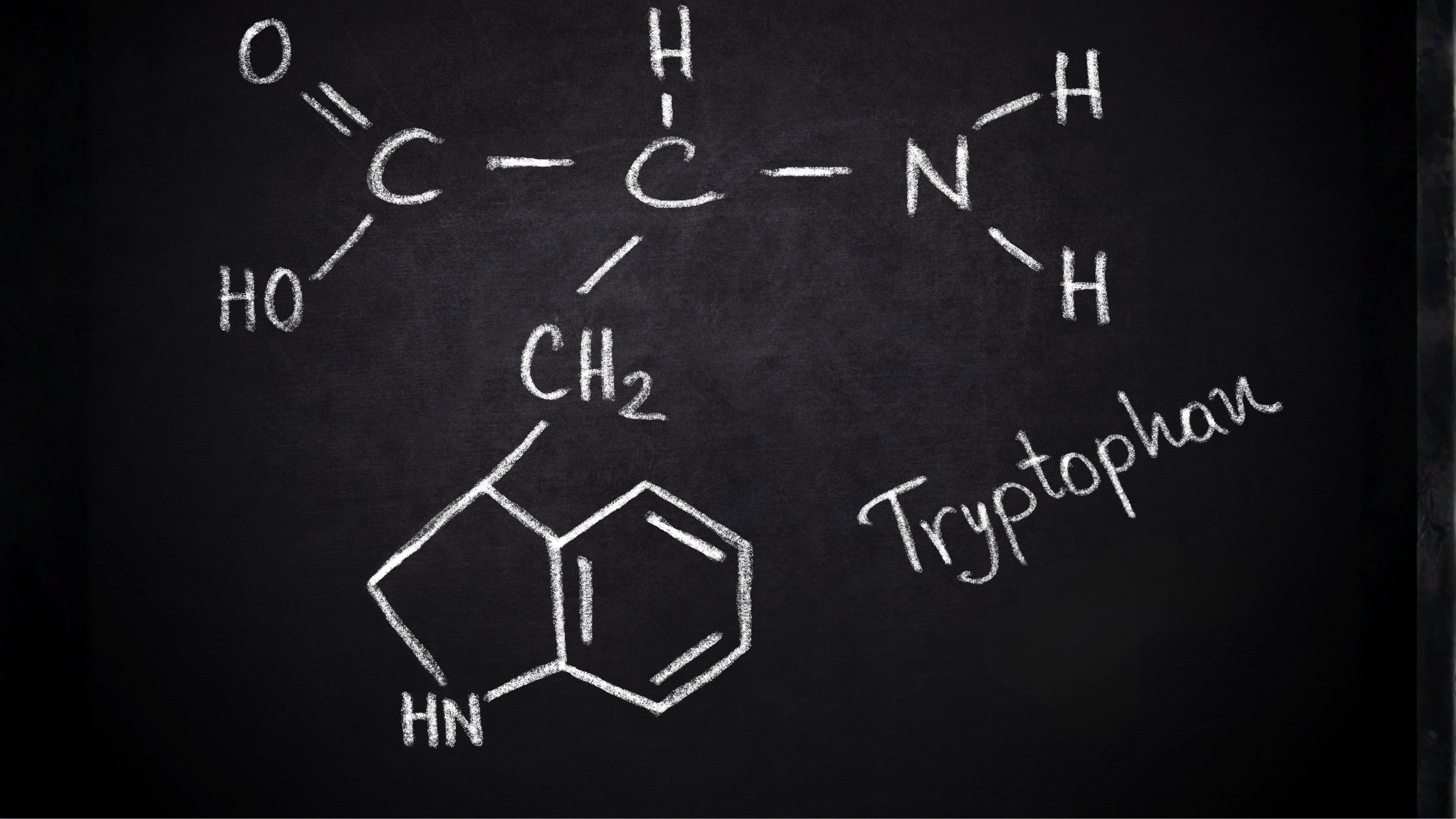 Triptofano e L-triptofano: effetti collaterali, controindicazioni e dopo quanto fa effetto