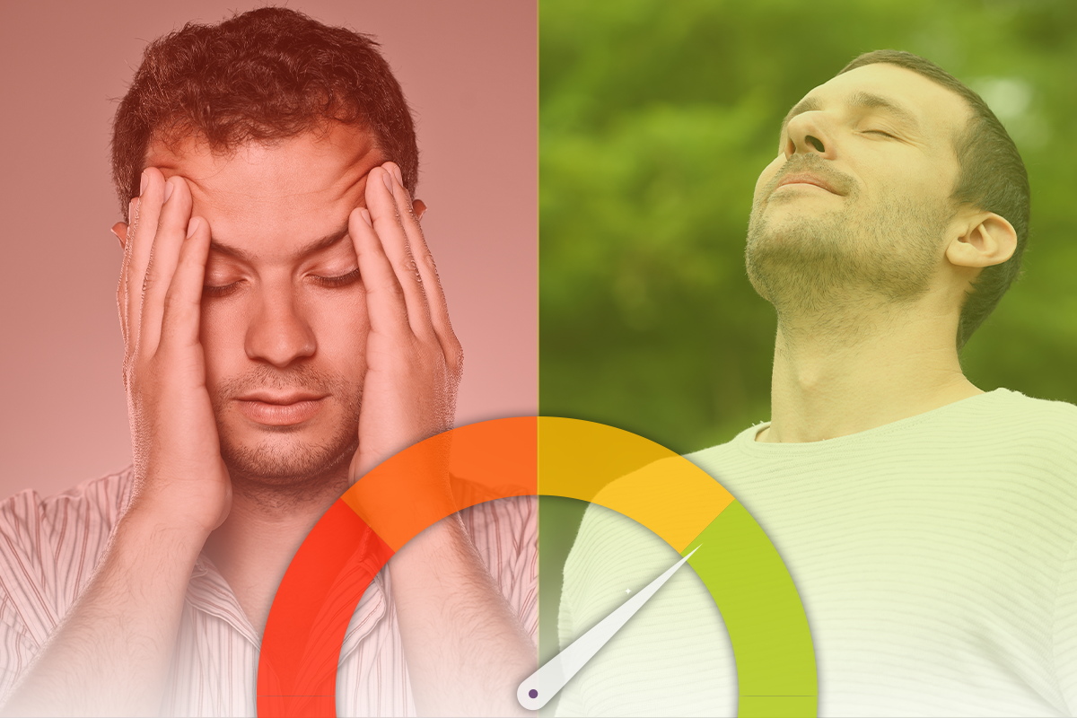 I 5 migliori integratori contro lo stress