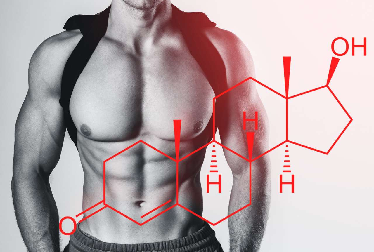 Testofen®, il miglior precursore naturale di testosterone, studi clinici
